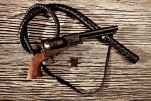 OWB Holsters