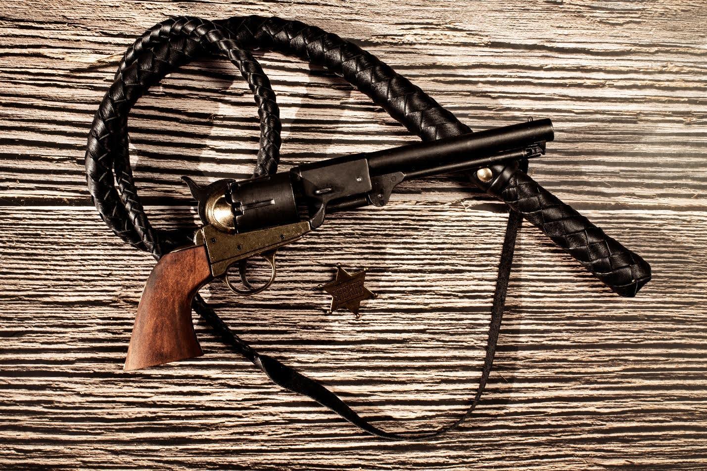 OWB Holsters